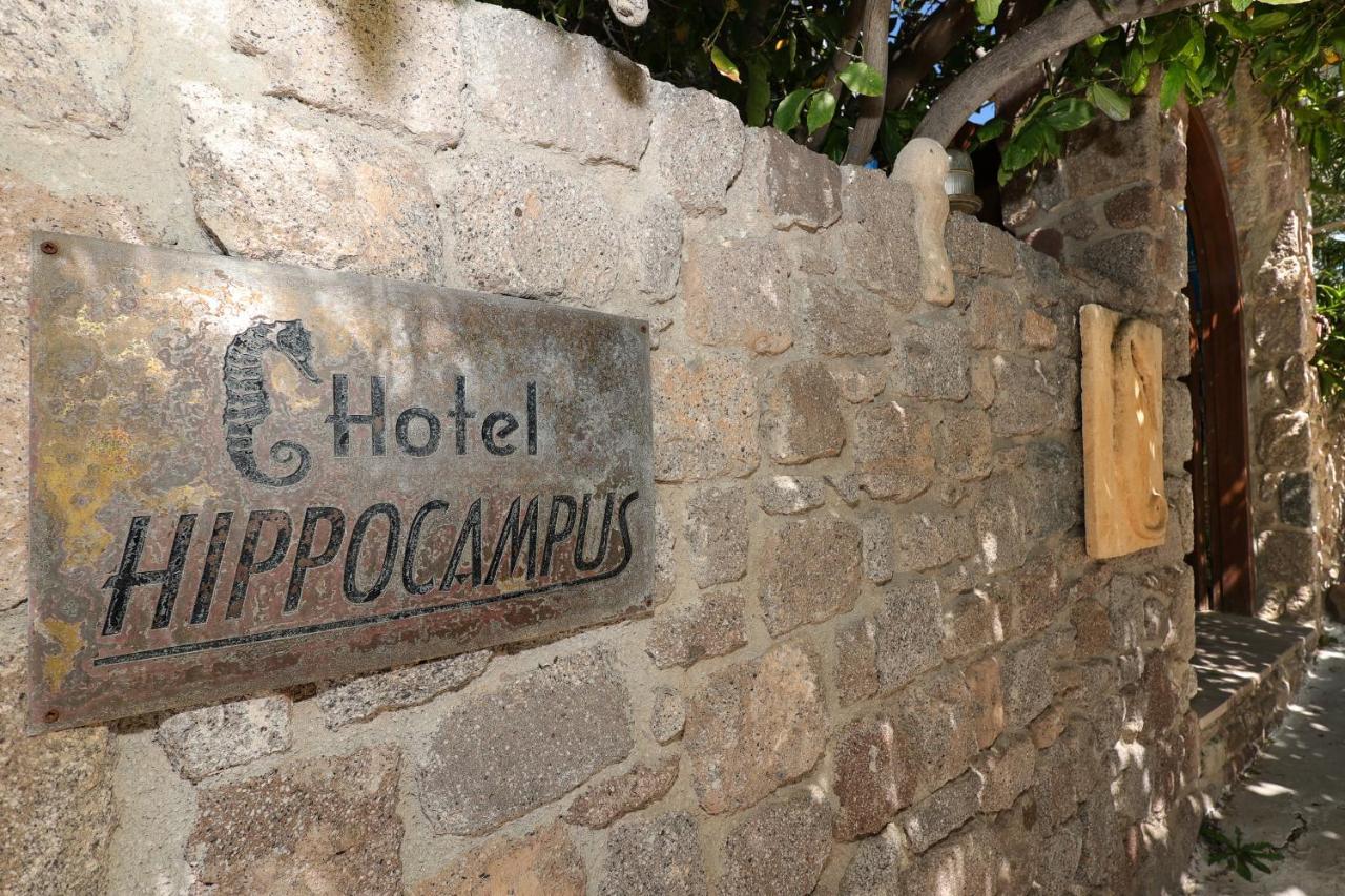 Hotel Hippocampus Perdika  Zewnętrze zdjęcie